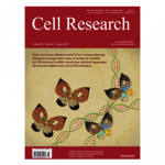 cellresearch2019